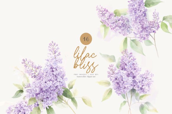 Download Lilac Florals Watercolor Flowers Png - Flora Collection